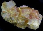 Lustrous, Yellow Cubic Fluorite Crystals - Morocco #37477-1